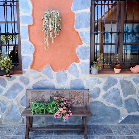 Finquita La Villa Icod De Los Vinos Exteriér fotografie